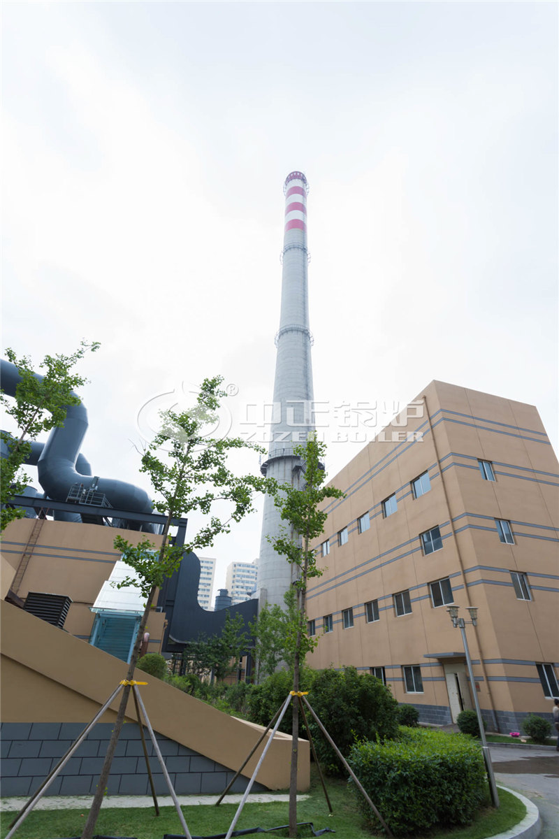 大龙浴池环保锅炉